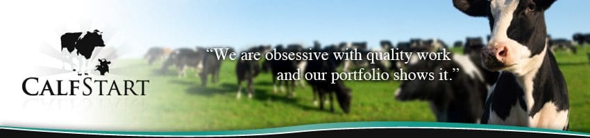CalfStart LLC